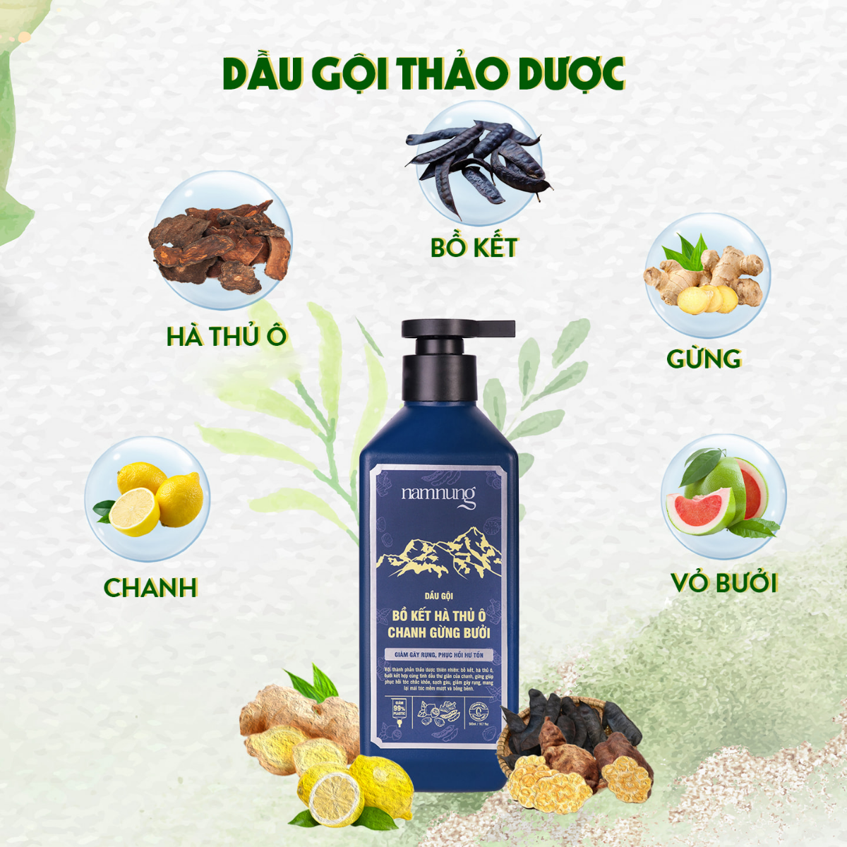 chiết xuất hà thủ ô, bồ kết