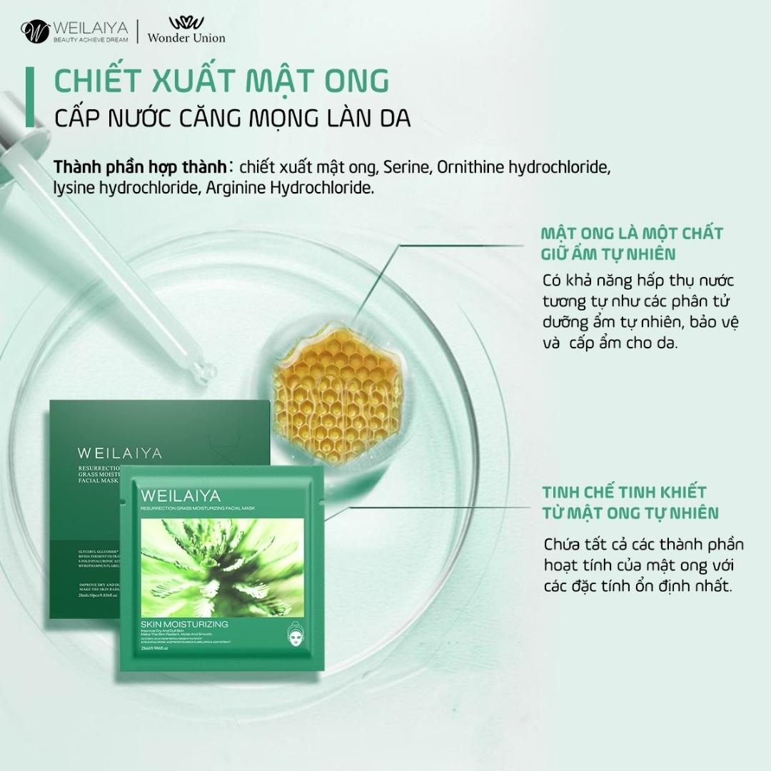 Thành phần mặt nạ dưỡng da Weilaiya Cỏ vạn năm Tinh chất cỏ vạn năm