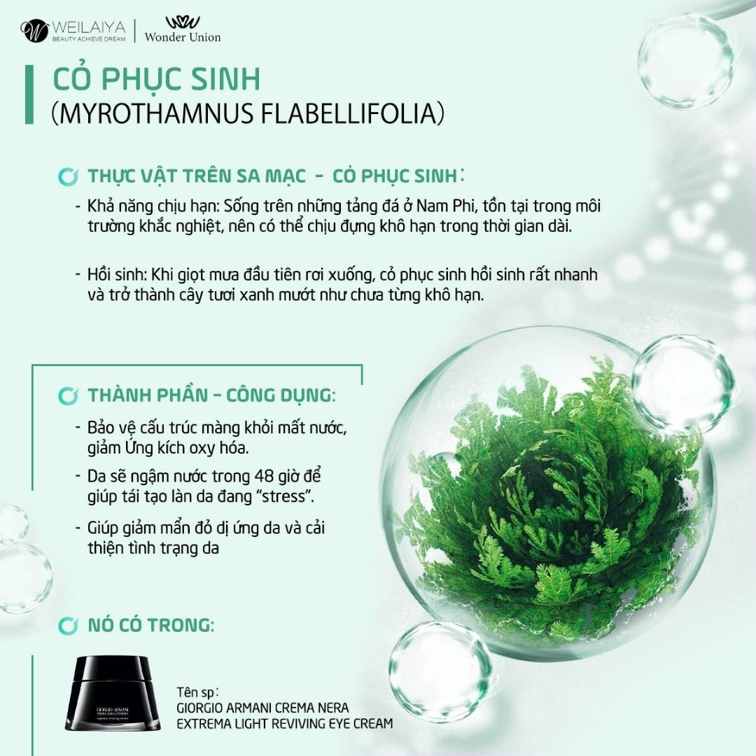 hướng dẫn sử dụng mặt nạ dưỡng da weilaiya cỏ vạn năm - Sau bước làm sạch da, tiến hành đắp mask, dùng tay miết các góc để mặt nạ ôm sát khuôn mặt. - Thư giãn 15 phút, gỡ mặt nạ và massage nhẹ nhàng cho các dưỡng chất thấm sâu. - Thực hiện các bước dưỡng còn lại.